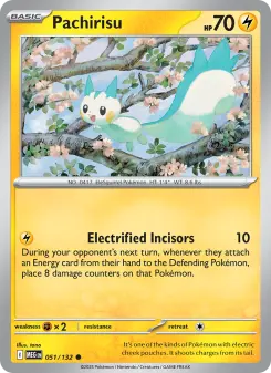 Pachirisu card