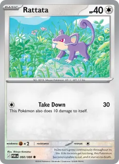 Rattata card