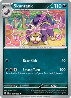 Skuntank card