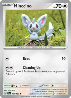 Minccino card