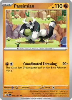 Passimian card