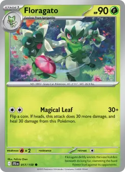 Floragato card