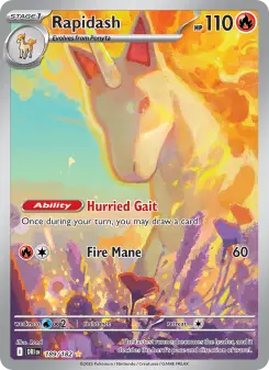 Rapidash card